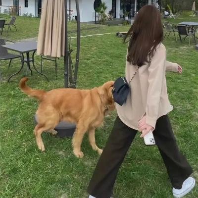 赤焰战场